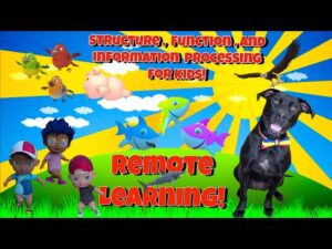 Standards-Aligned Video Library