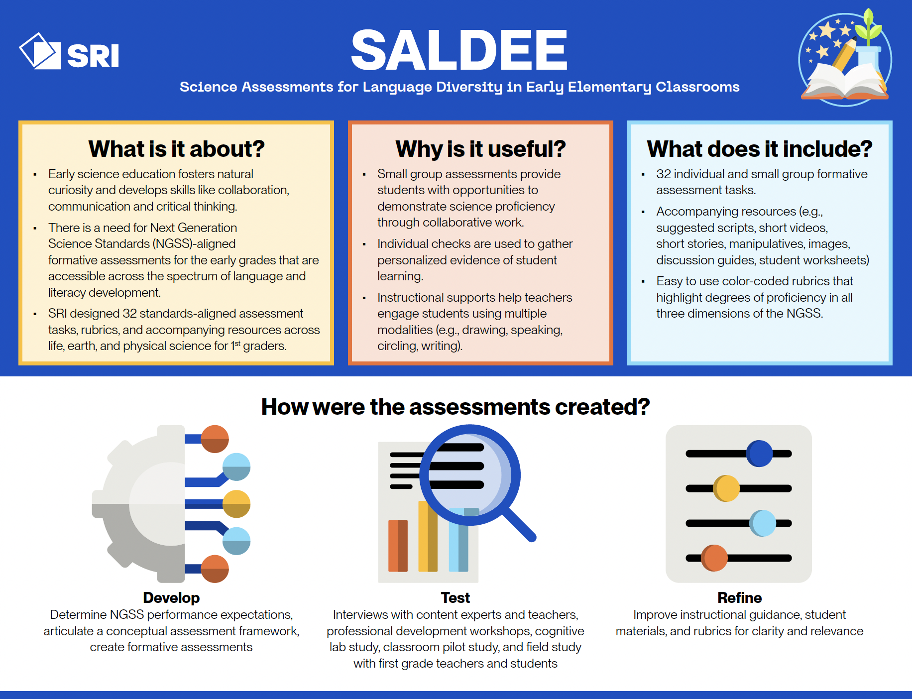 Thumbnail of theSALDEE Infographic 